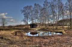 Landschaftsaufnahme aus dem Großen Torfmoor in Hille.