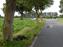 Was geschah in der Heidestraße?