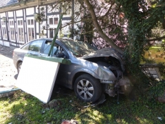 Ohne Fahrerlaubnis gegen Baum geprallt