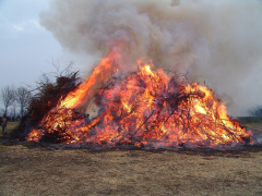 Anmeldung Osterfeuer