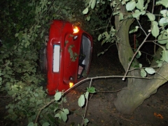Der Renault Twingo blieb seitlich der Hauptstraße zwischen Sträuchern und Bäumen verdeckt auf der Seite liegen.